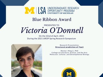 2021 UROP Spring Symposium Blue Ribbon IG 2 